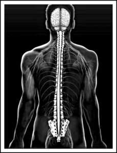 origin chiropractic saskatoon axis health center physiotherapy massage acupuncture